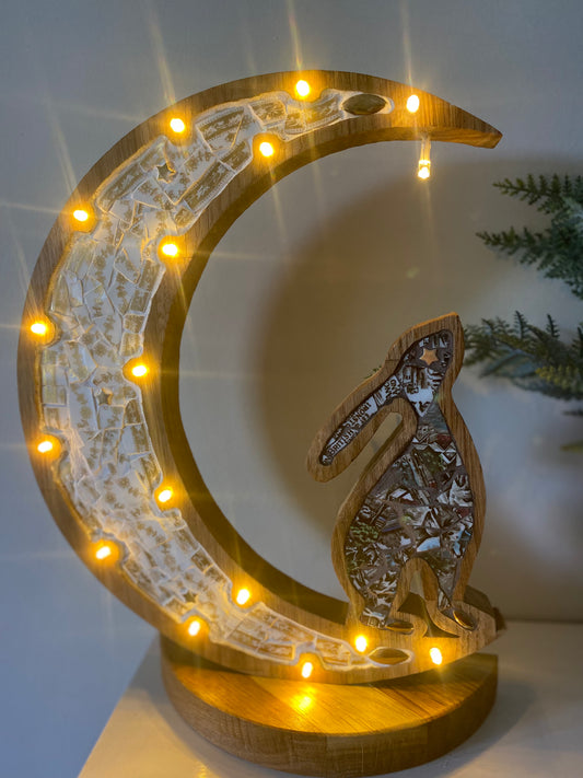 Moon & hare with lights